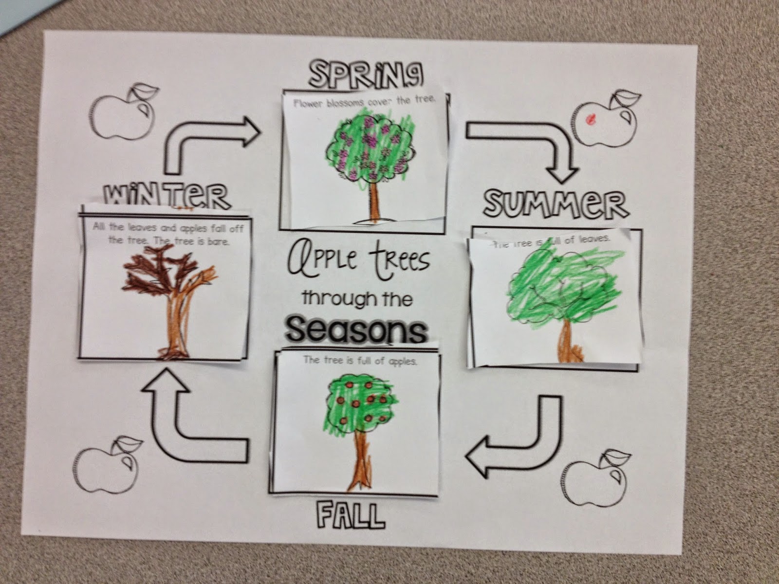 Kinder Kicks in Room 6 The Seasons of an Apple Tree